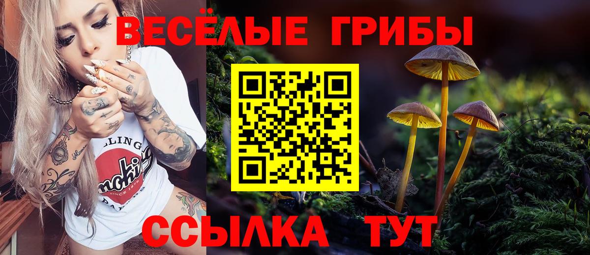Ирбит  Псилоцибиновые грибы MAGIC MUSHROOMS  Вход с VPN  Галлюциногенные грибы мицелий 
